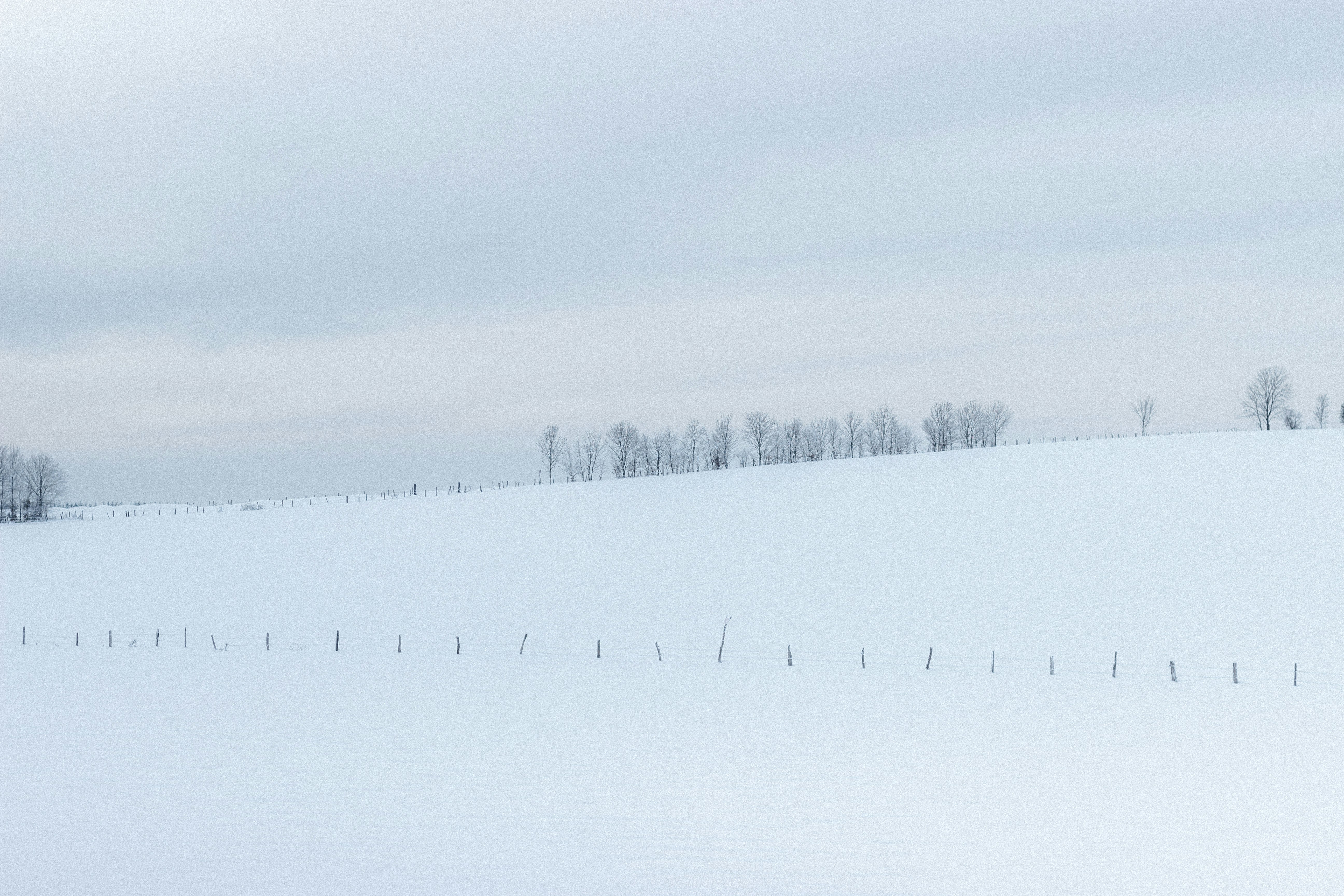 snow covered field during daytime